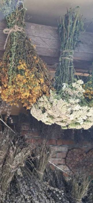 Віники для бані.