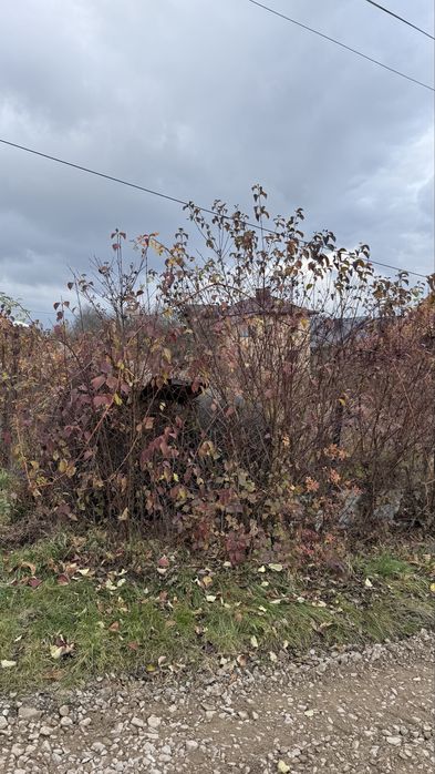 Продається земельна ділянка с.Годилів