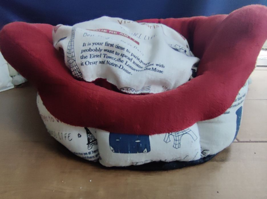 Cama para gato, em muito bom estado