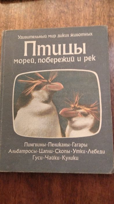 Птицы морей, побережий и рек