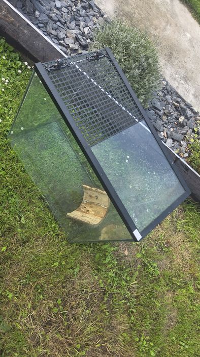 Terrarium szklane
