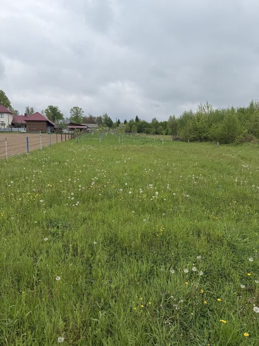 Продається земельна ділянка с.Панка