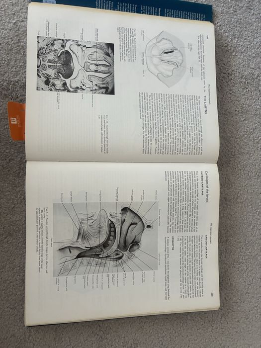Livro Cunningham’s Textbook of Anatomy