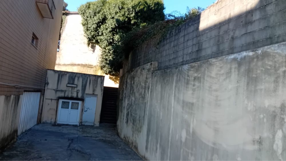 Limpeza de jardim