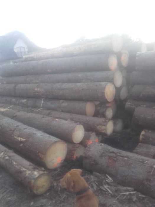 Więźba dachowa /krokwie/łaty/deski