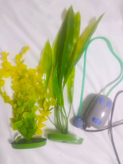 Аквариумные принадлежности