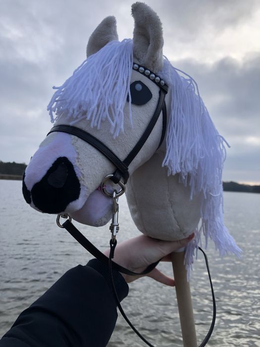 hobby horse(cena do negocjacji)