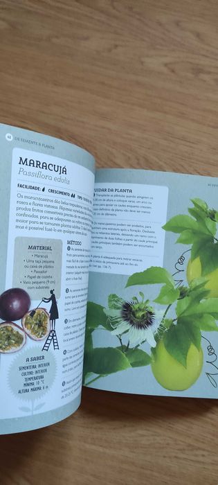 New Book on Simple Cultivation – "From Seed to Plant"64283855366403121