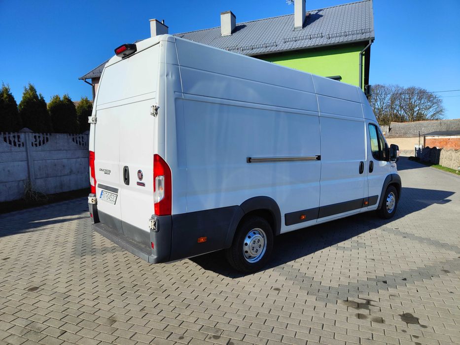 Bus na wynajem, wynajem busa, furgon, blaszak, Fiat Ducato Maxi.