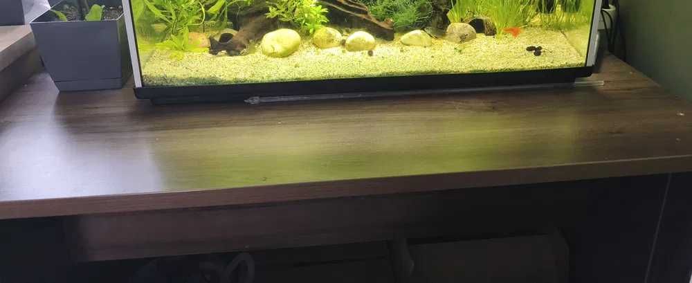 Stolik, biurko , szafka ,akwarium, ryby,terrarium