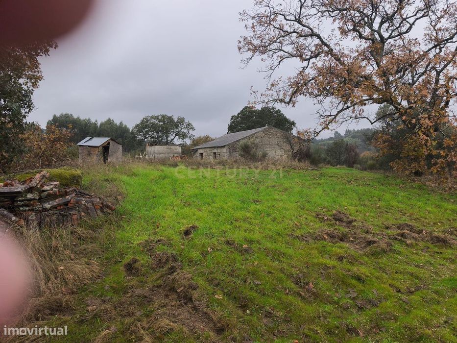 Terreno rustico com casa de Pedra — Orca, Castelo Branco