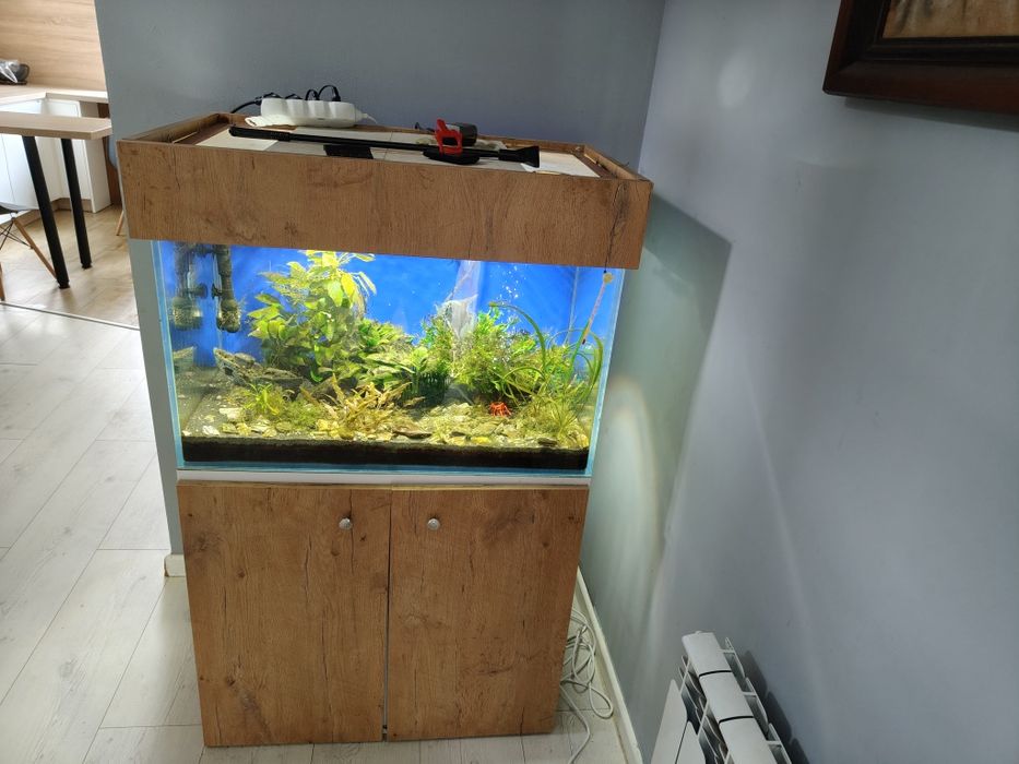 Sprzedam akwarium