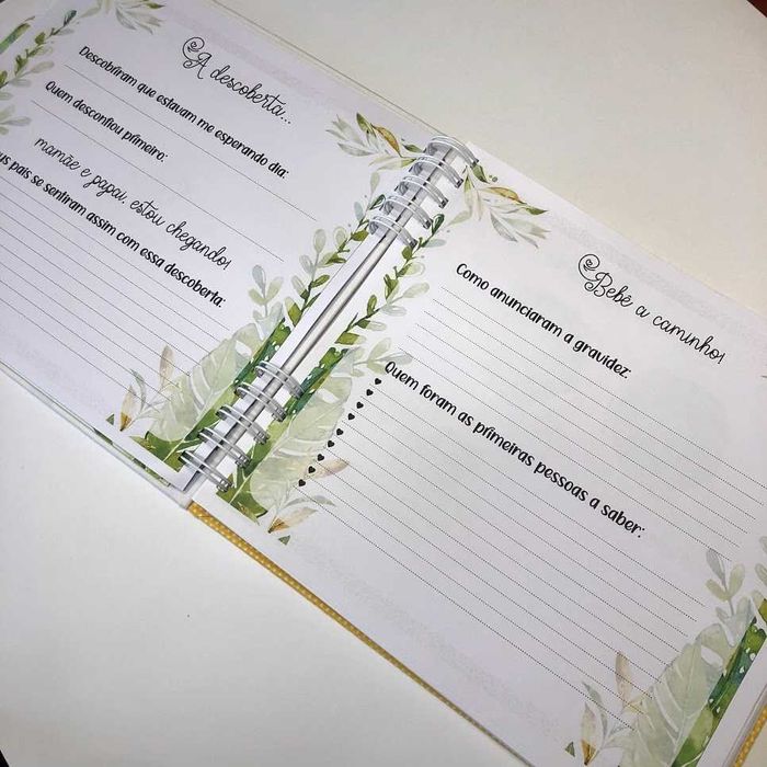 Álbum de 200 fotos e Livro do bebe safari