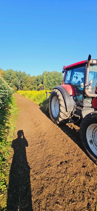 WYCINKA DRZEW Czyszczenie działki MULCZER LEŚNY karczowanie