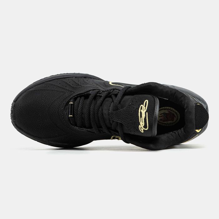 Мужские кроссовки Nike LeBron 21 "Black" Размеры 41-46