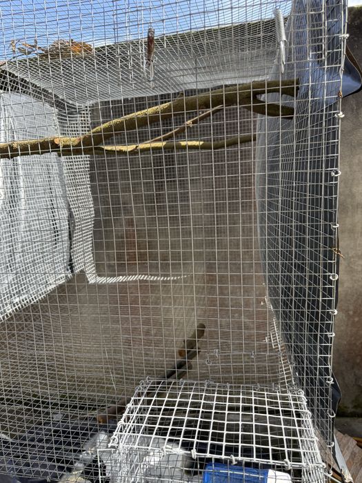 Vendo gaiolas !LER DESCRICAO!!