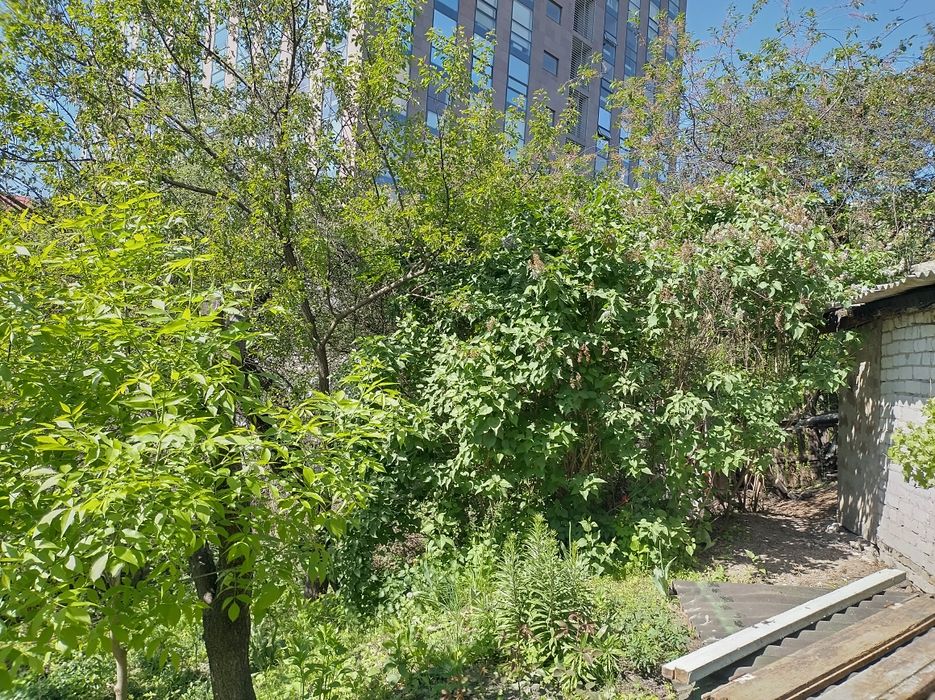 House by the address (area 200 m²) - Atlanta.ua - photo 3