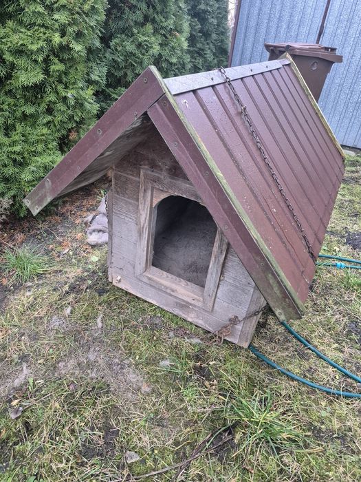 Buda dla psa, solidna