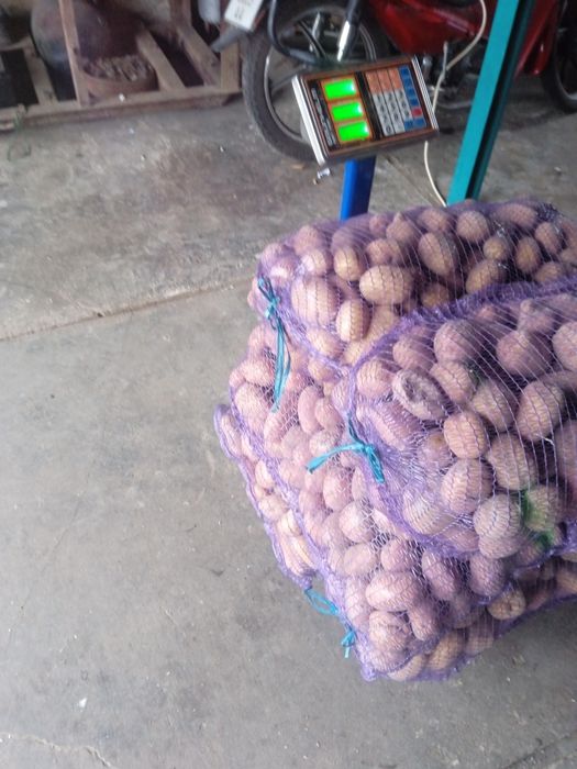 Дрібна картопля біла