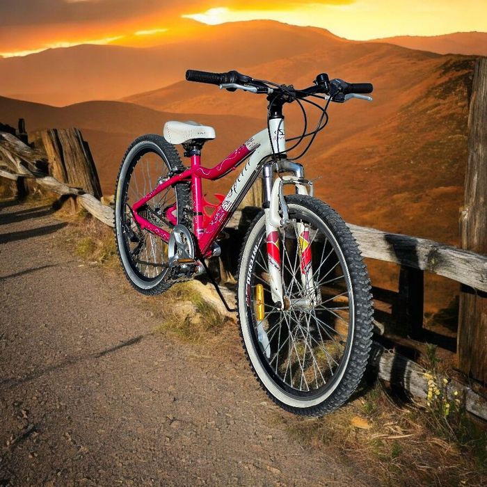 велосипед Spelli Astra 24