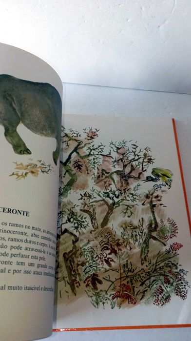 O Meu Primeiro Livro de Zoologia - Livro Antigo