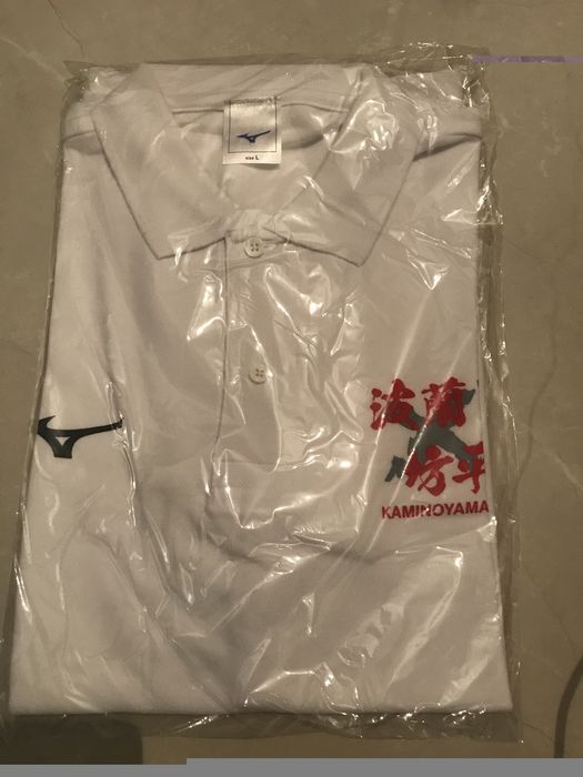 Koszulka do treningiw i chodzenia mizuno oryginalna z japonii