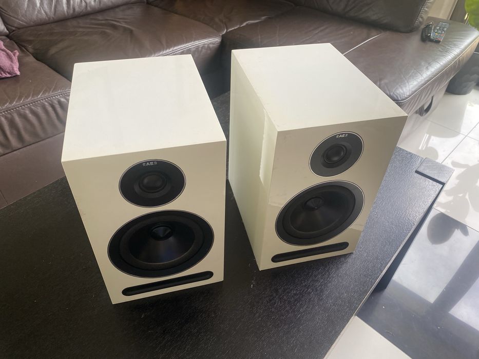 Acoustic Energy AE 101 para