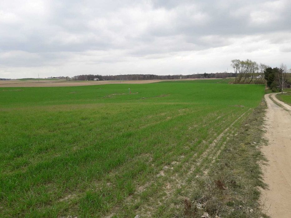 Dwie działki z warunkami zabudowy w Górze