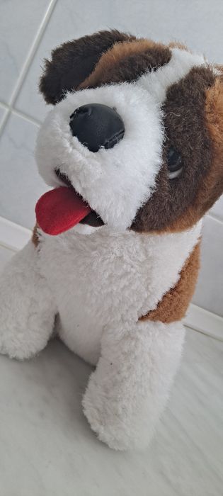 Maskotka pies bernardyn