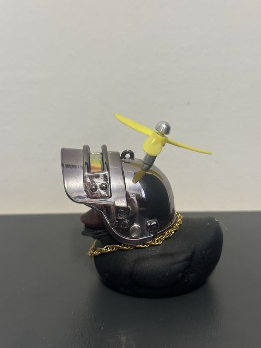 Каченя чорне в шлемі