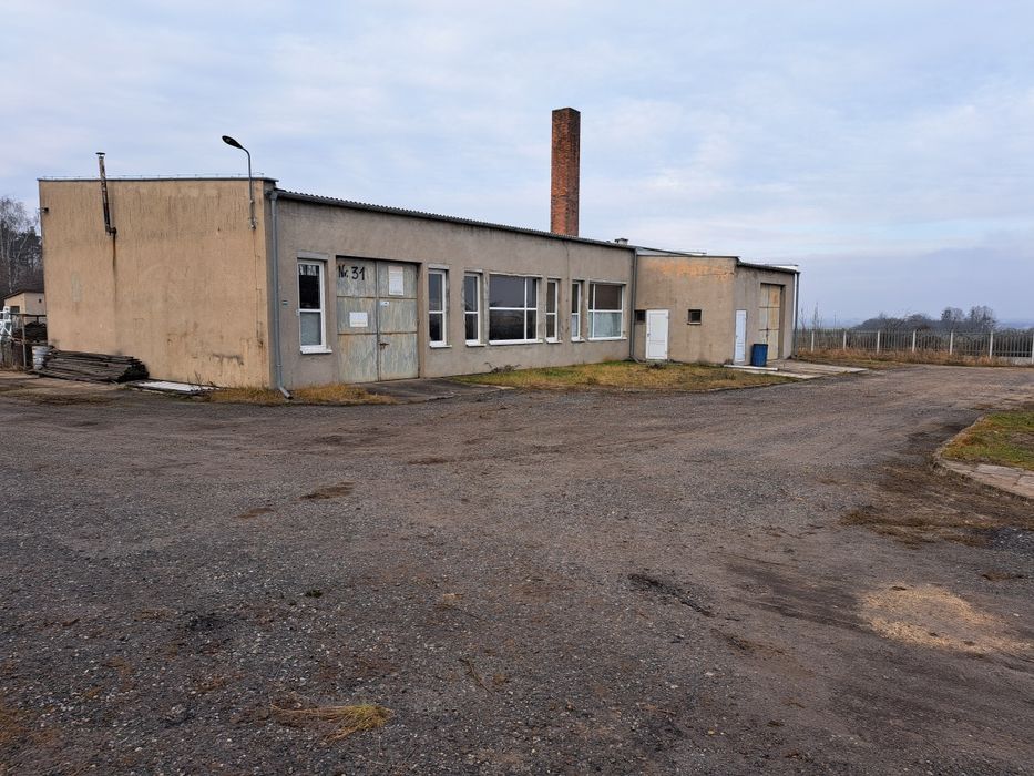 Wynajmę Halę Warsztatowo-Magazynową