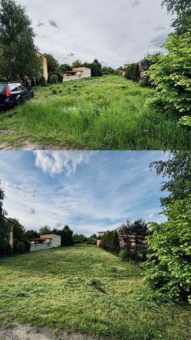 Od trawnika po drzewa – zadbamy o każdy szczegół Twojego ogrodu