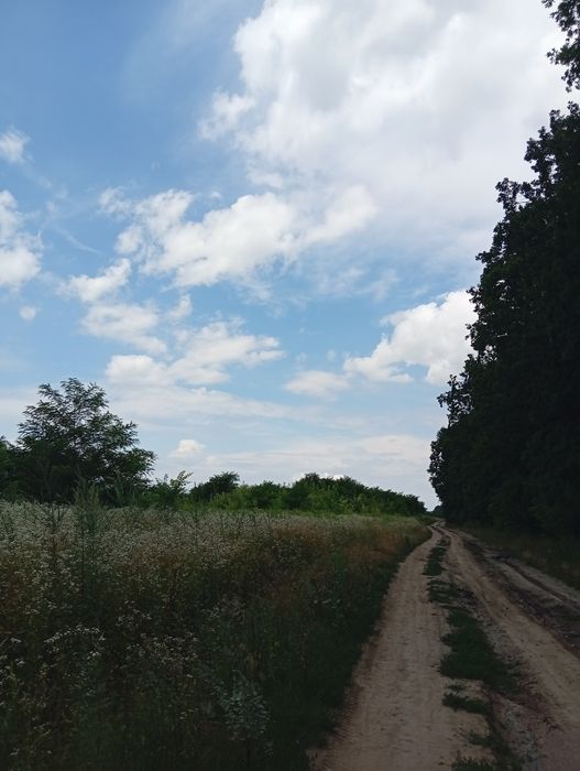 Продаж земельної ділянки Перемичка Агрономічне