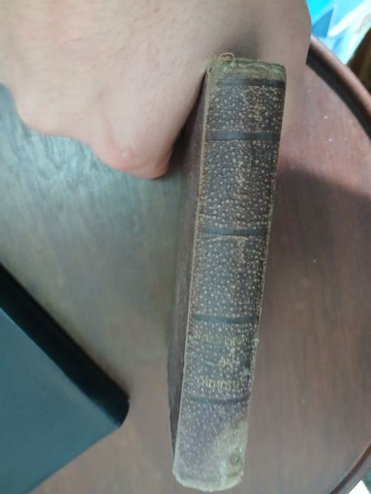 Manual do Romeiro ao Real Sanctuario do Bom Jesus de Braga