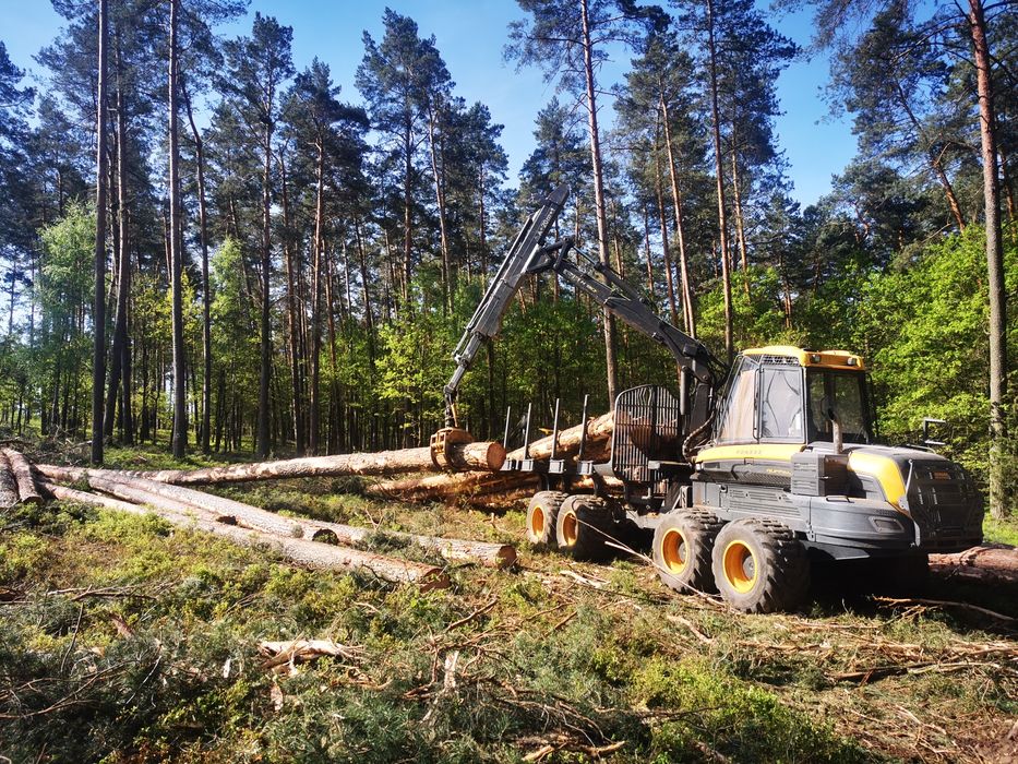 Mulczerowanie, rekultywacja gruntów,wycinka,  wycinka pod inwestycje
