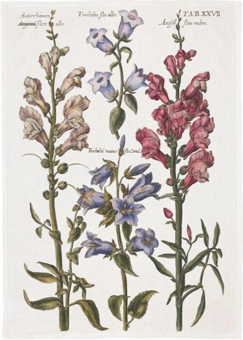 Ręcznik kuchenny - Niebieskie kwiaty oprawa: folia