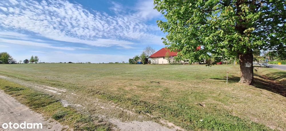 Działka budowlana 1500 m² - Widok 2