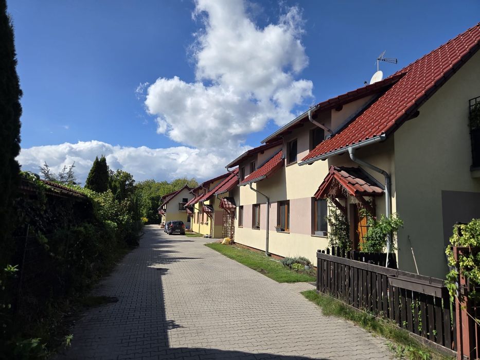 Mam do wynajęcia dom - Widok 5