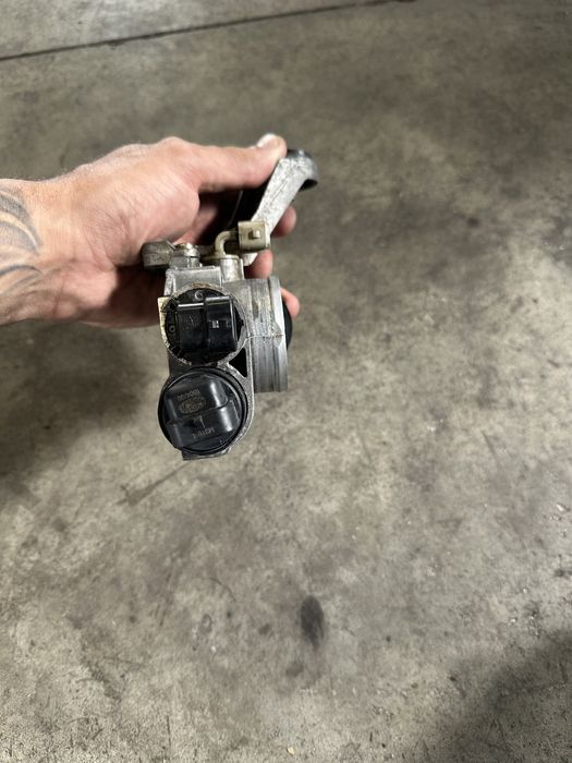 Borboleta tbi clio 2