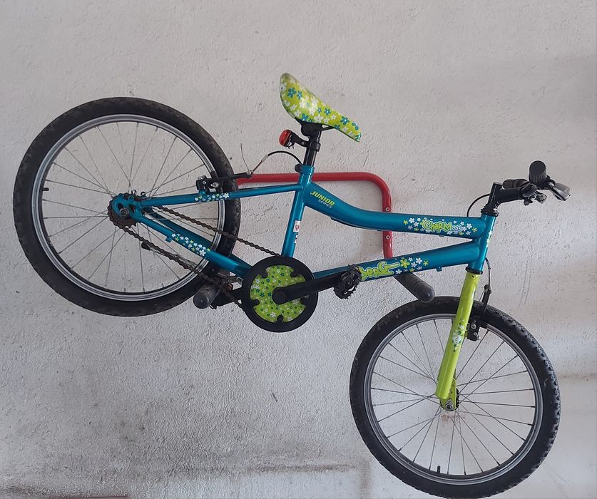 Bicla Júnior series