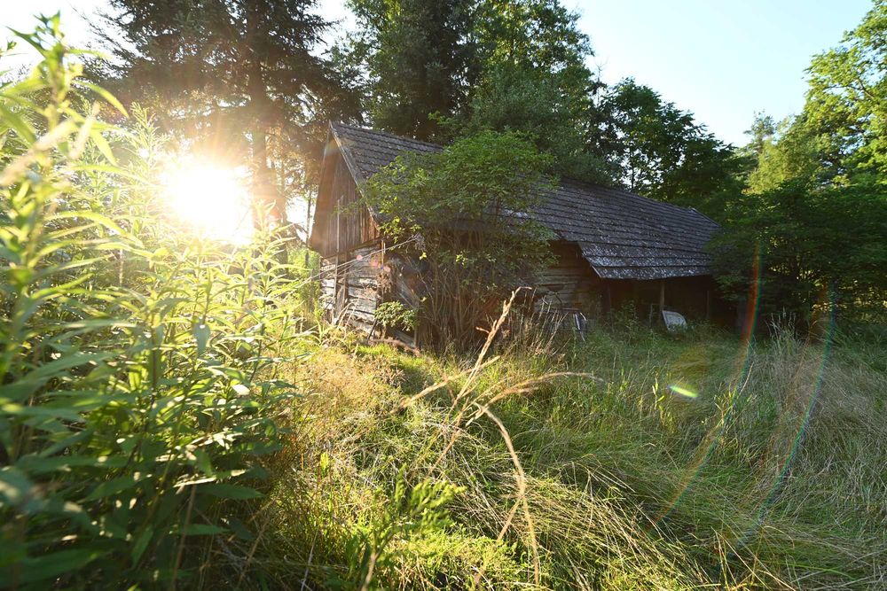 Siedlisko dom z cegly oraz zabudowania gospodarcze z bali, lasy, łąki, gospodarstwo