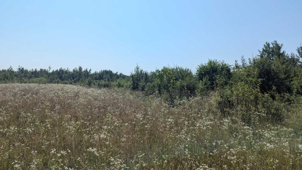 Земельна ділянка під забудову в с.Березівка(12)