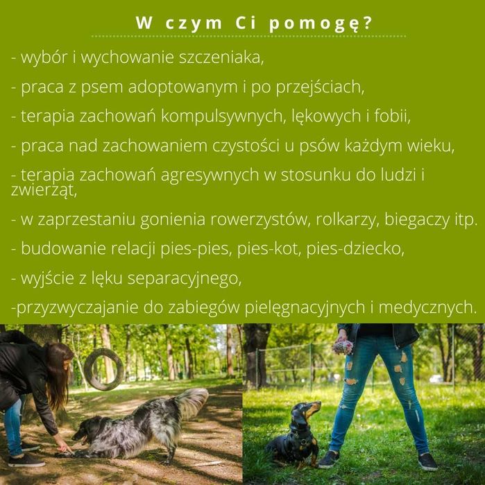 Behawiorysta/ Trener psów / Zoopsycholog - PROMOCJA