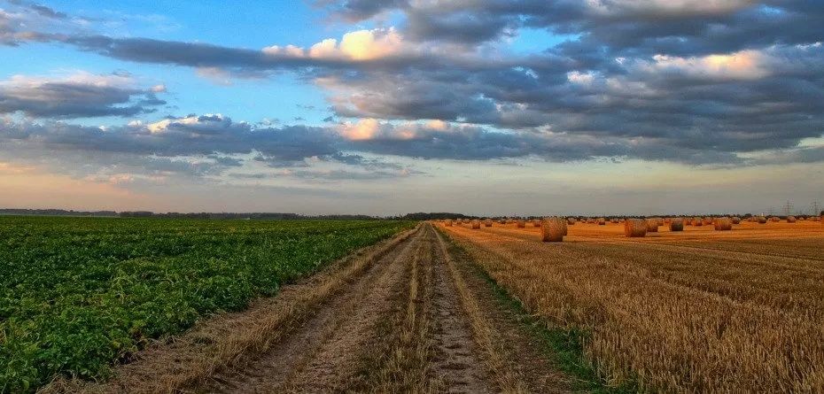 Ziemia rolna dzierżawa