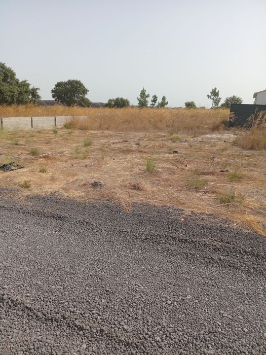 Lotes em augi, 7mil euros de entrada