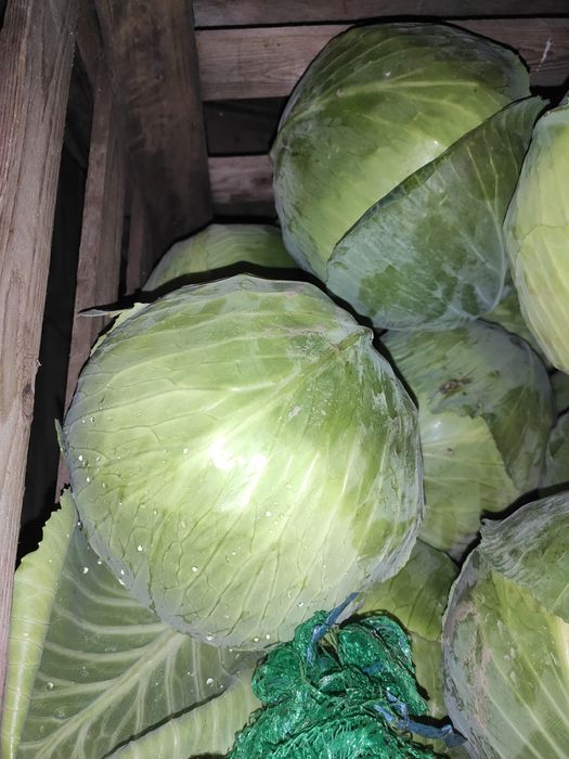 Ziemniaki i warzywa z dostawa dla Twojej gastronomii