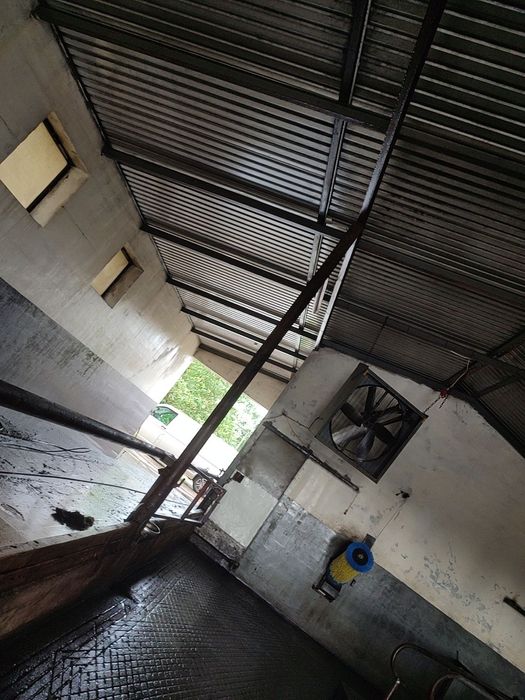 Mycie Budynków Gospodarczych! Czytaj Opis...