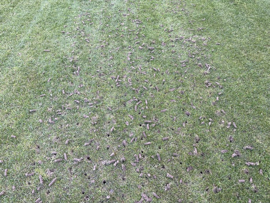 ZAPISY aeracja rurkowa, pełnym bolecm, piaskowanie wertykulacja