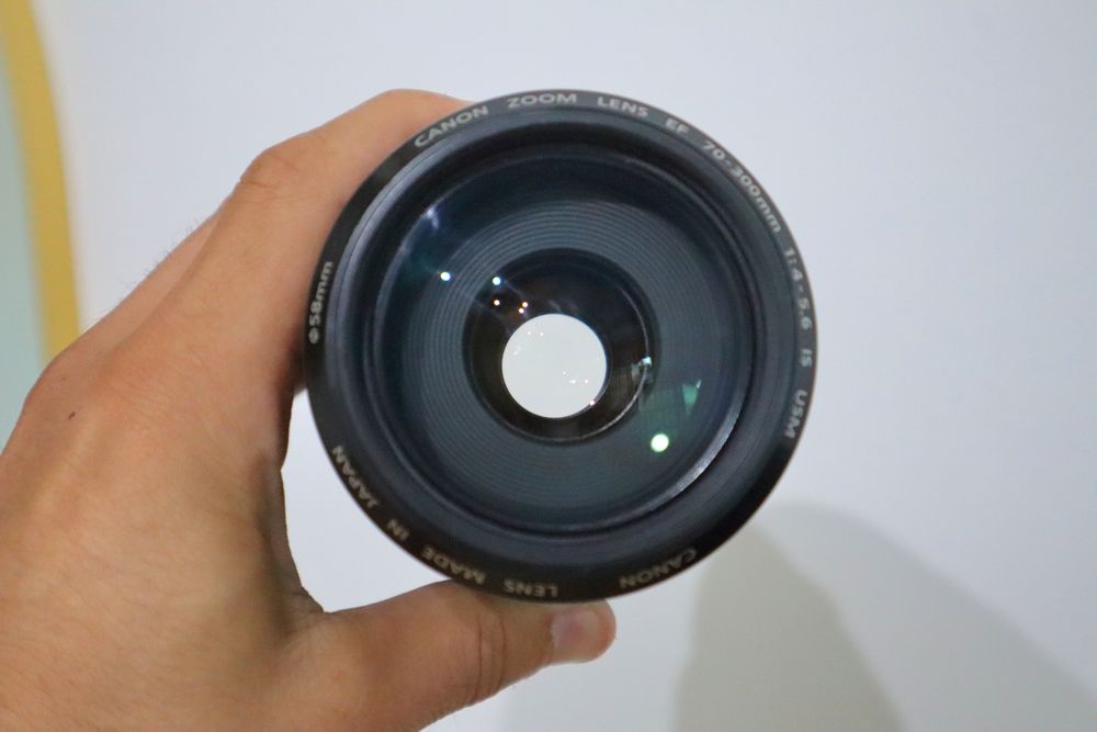 Canon EF 70-300mm f/4-5.6 IS USM
