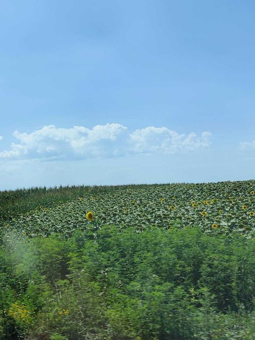 Продаж будинку Погреби (25км від Кременчука)